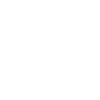 Link Icon